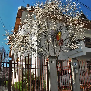 Guest house La Noblesse, Bucharest